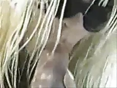 キッチンの男性はoralseキッチンを持っています 中 年 女性 無 修正 動画